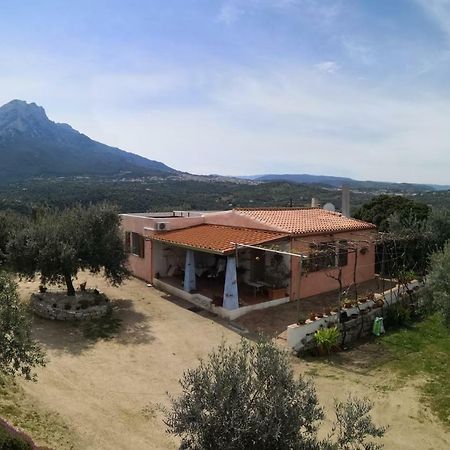 Villa L'Oleandro Oliena Exterior photo