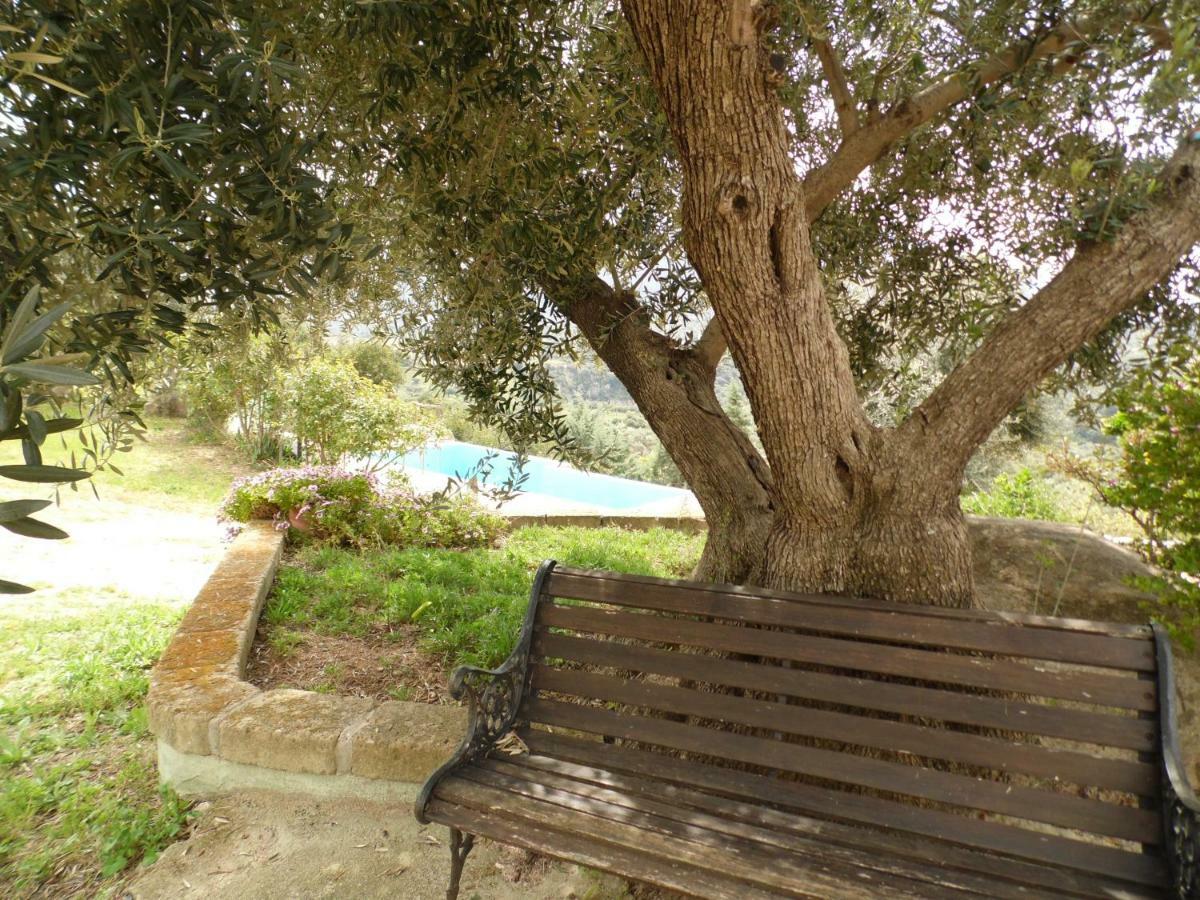 Villa L'Oleandro Oliena Exterior photo