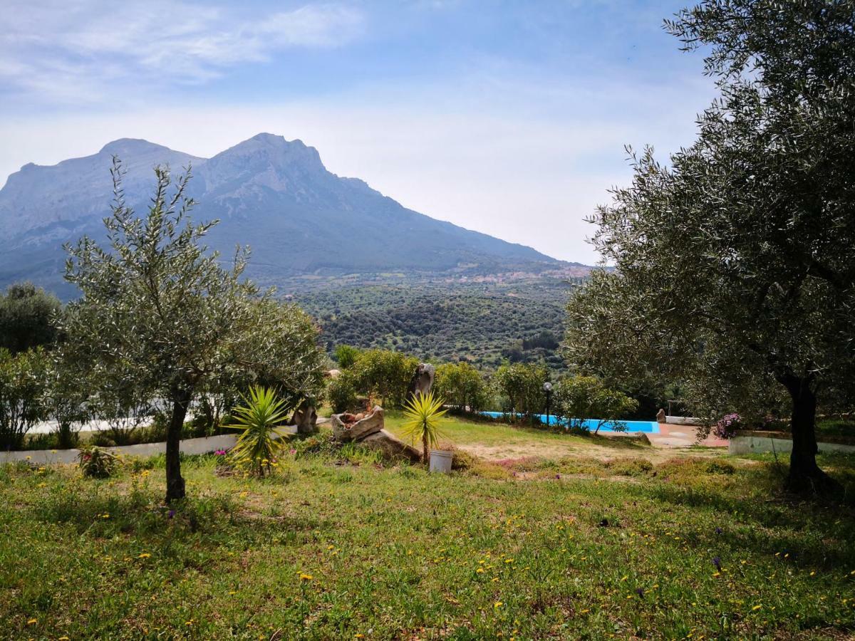 Villa L'Oleandro Oliena Exterior photo